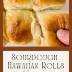 Sourdough Hawaiian Rolls full recipe thumbnail