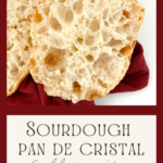 Sourdough Pan de Cristal full recipe thumbnail