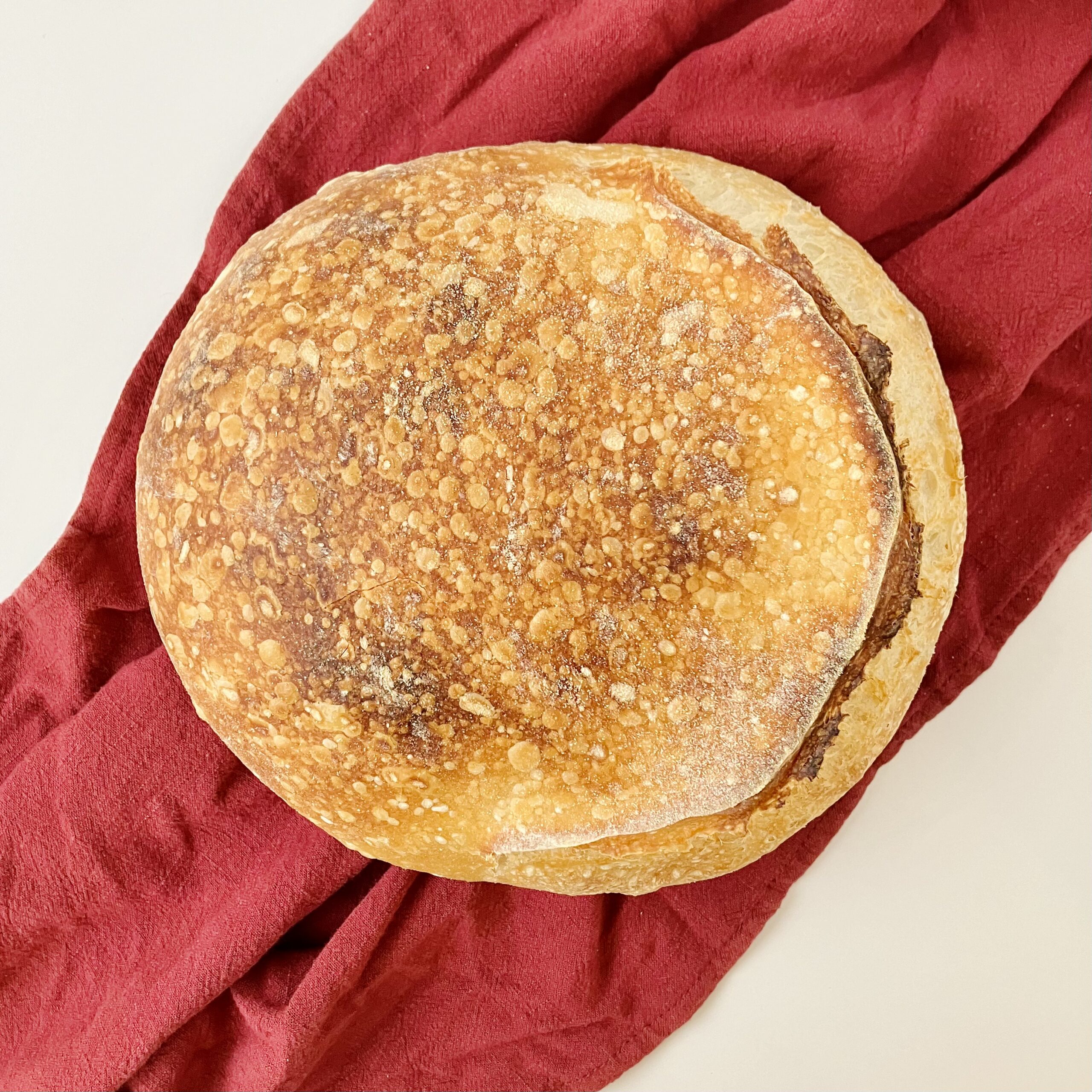 Sourdough Artisan loaf, also known as country boule