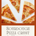 Sourdough Pizza Crust: Low Hydration Method full recipe thumbnail