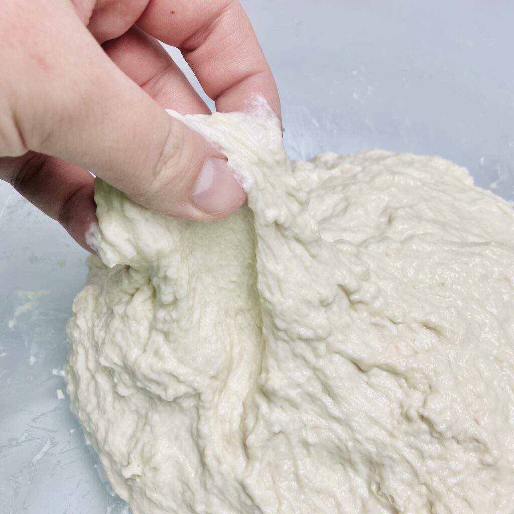 Moderate hydration bread dough