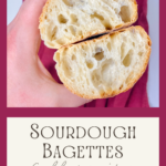 Sourdough Baguettes Recipe