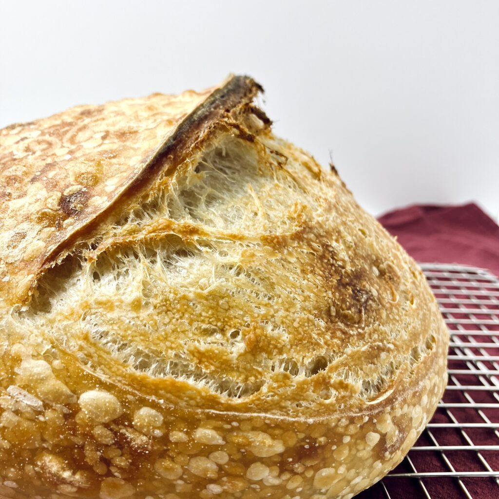 Stand Mixer Sourdough Country Loaf