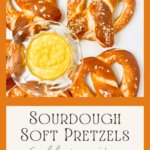 Sourdough Soft Pretzel Recipe by The Sourdough Baker