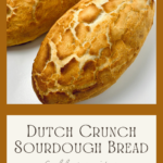 sourdough dutch crunch bread, tiger bread, Marco Polo bread, giraffe bread