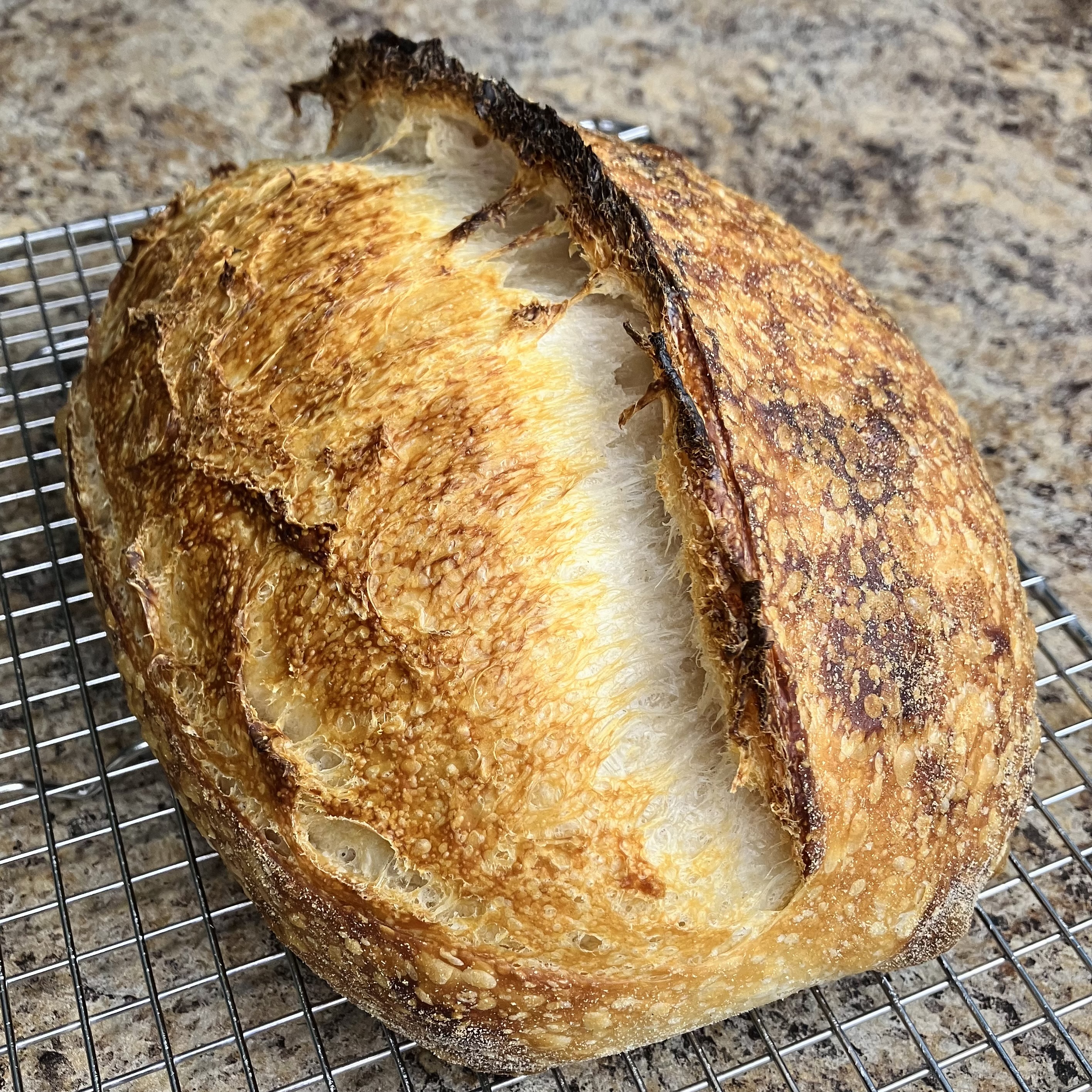 strong and perfectly fermented loaf of sourdough bread