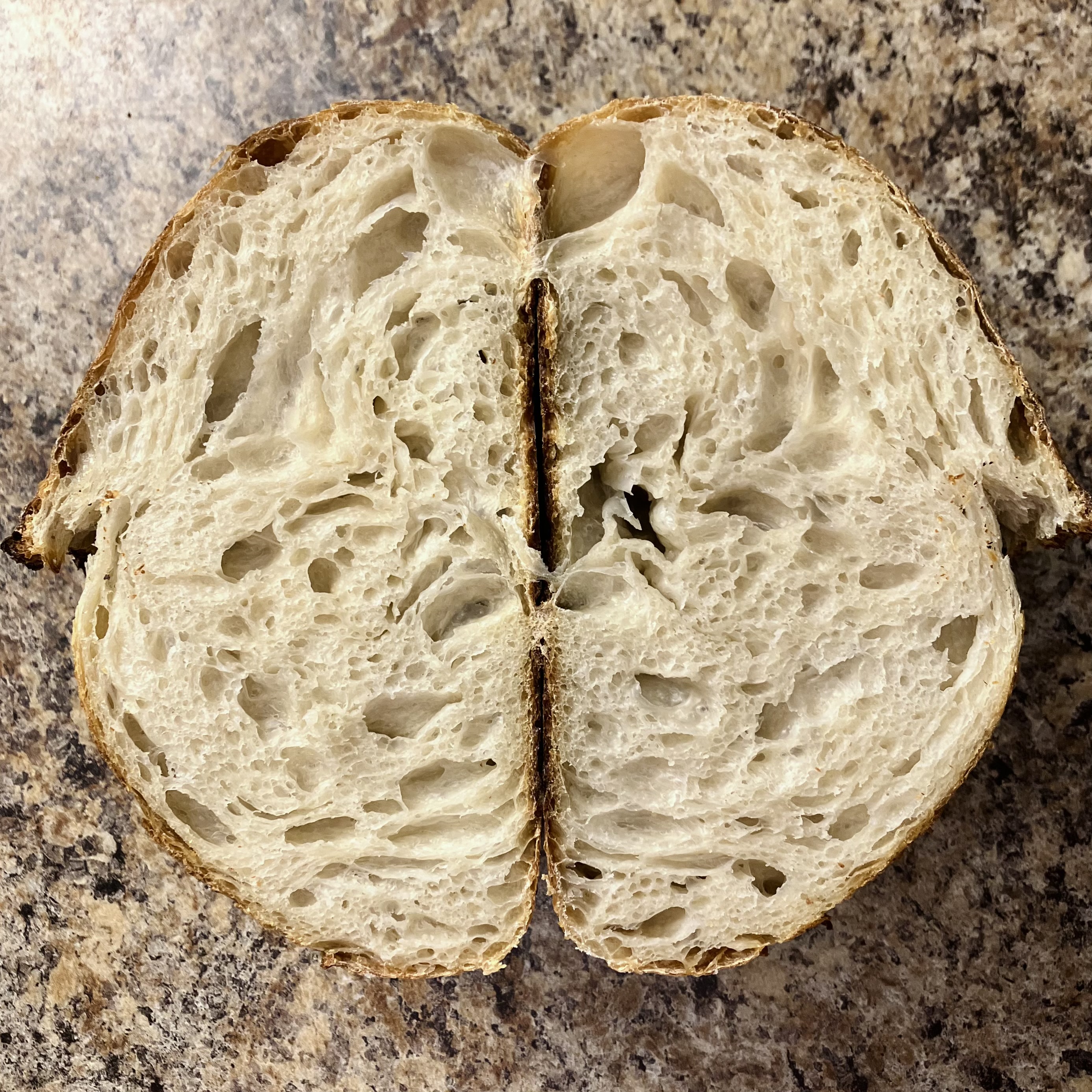 sourdough bread which has been perfectly fermented and strengthened