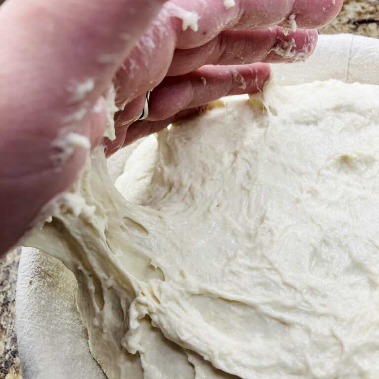 sticky, underdeveloped bread dough