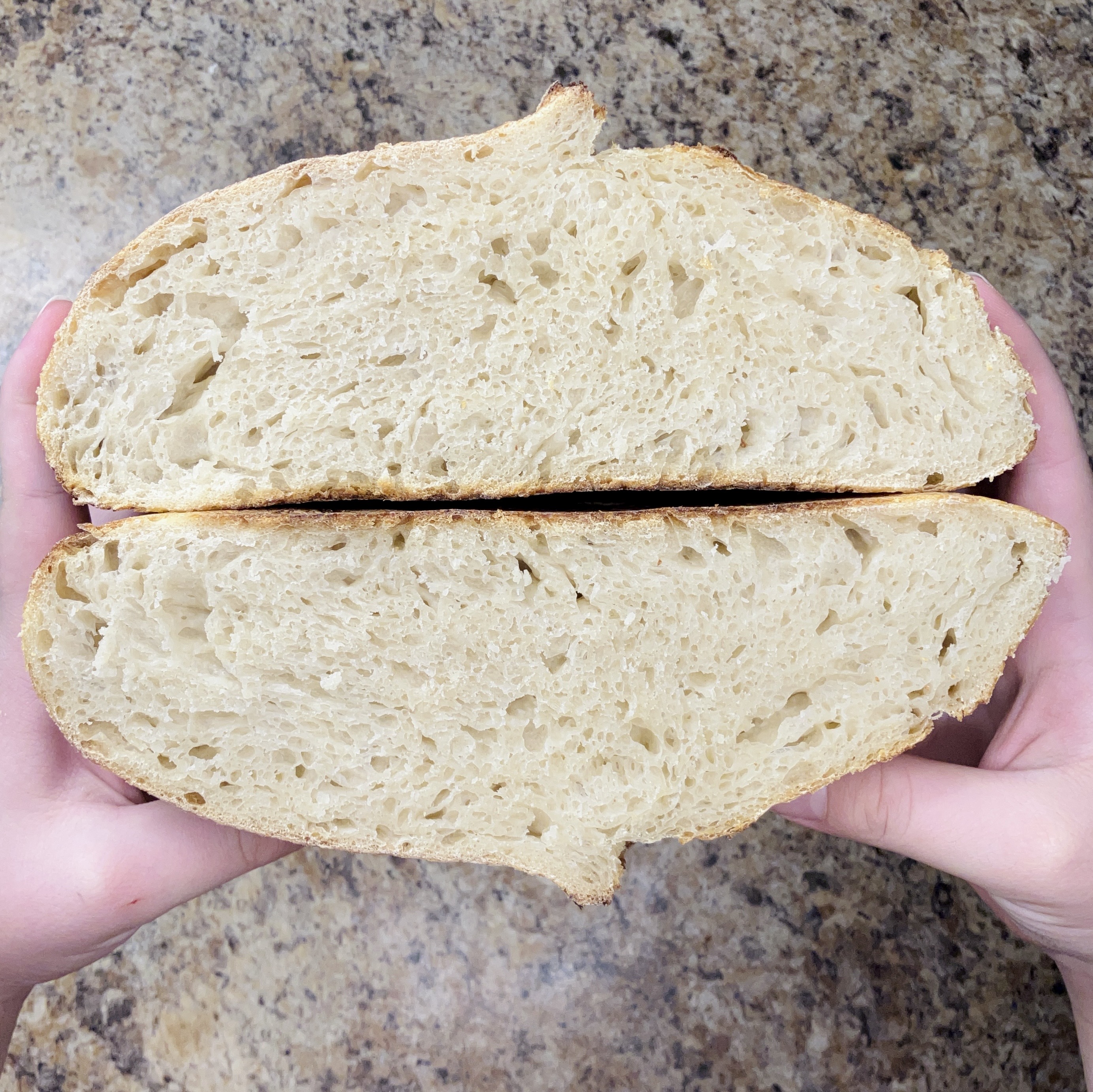 Closed crumb of underdeveloped bread