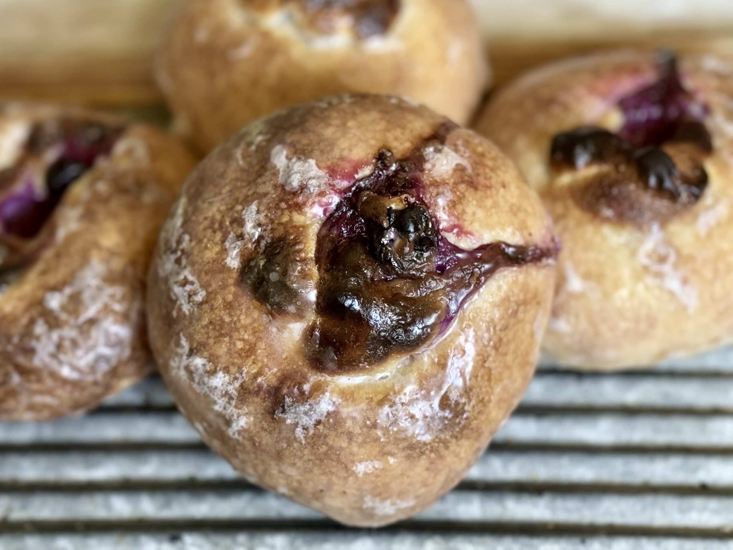 Blueberry Cream Cheese Bialy