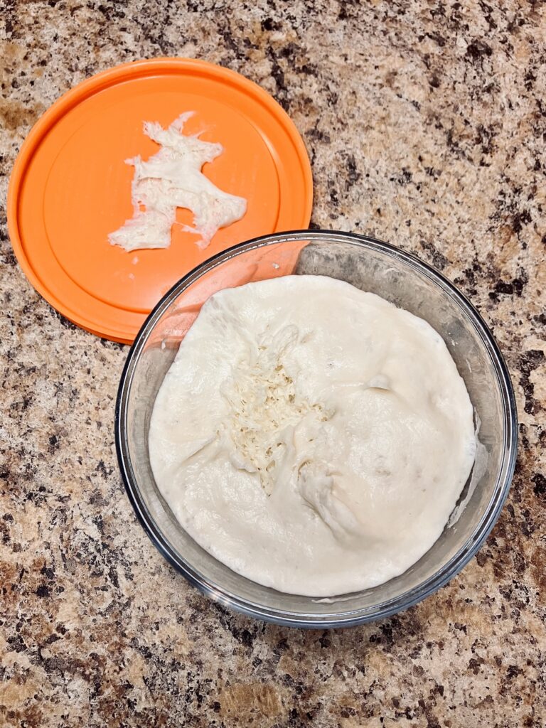 sourdough starter