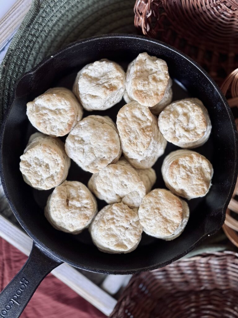 sourdough biscuit