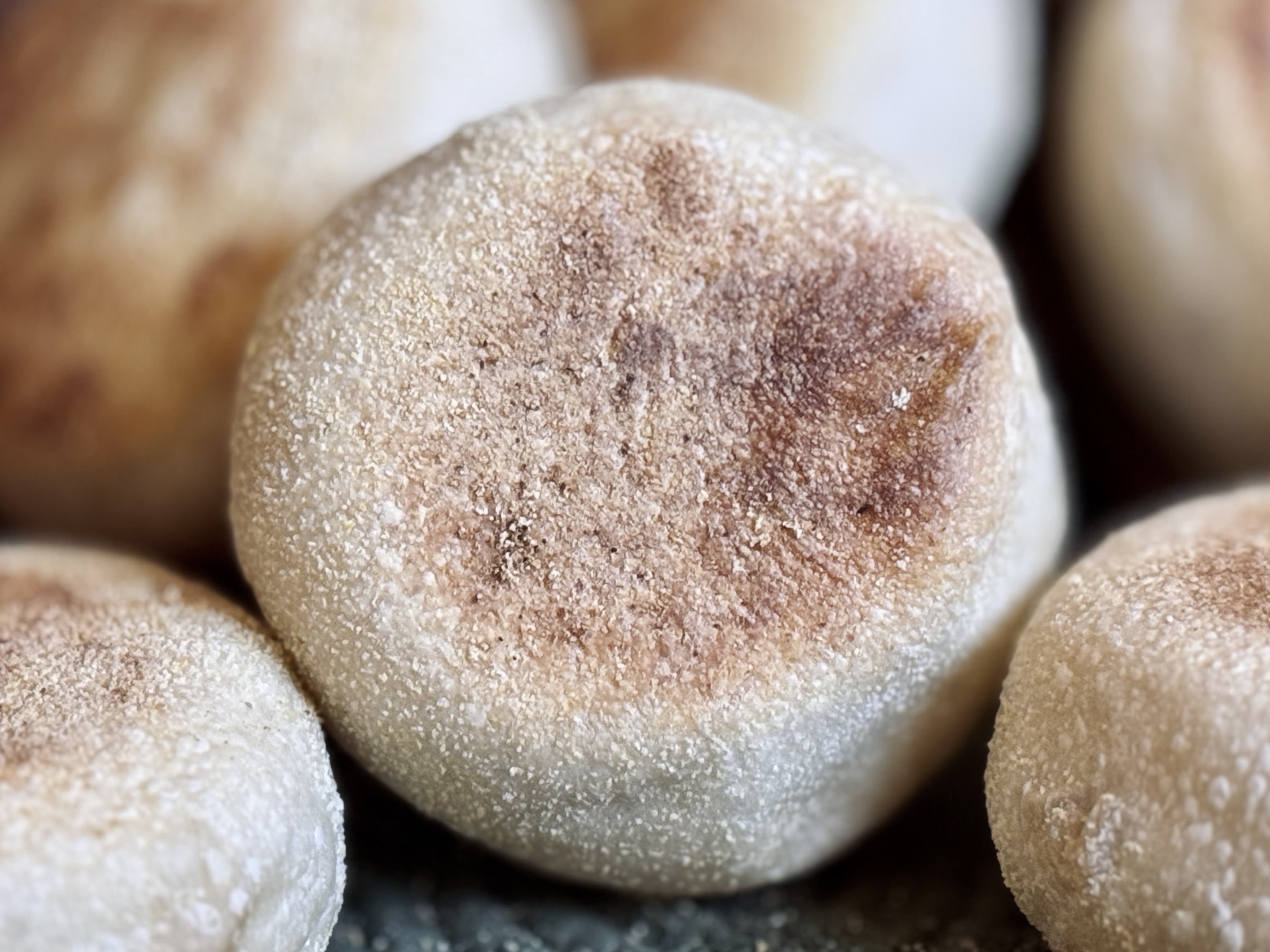 sourdough English muffins