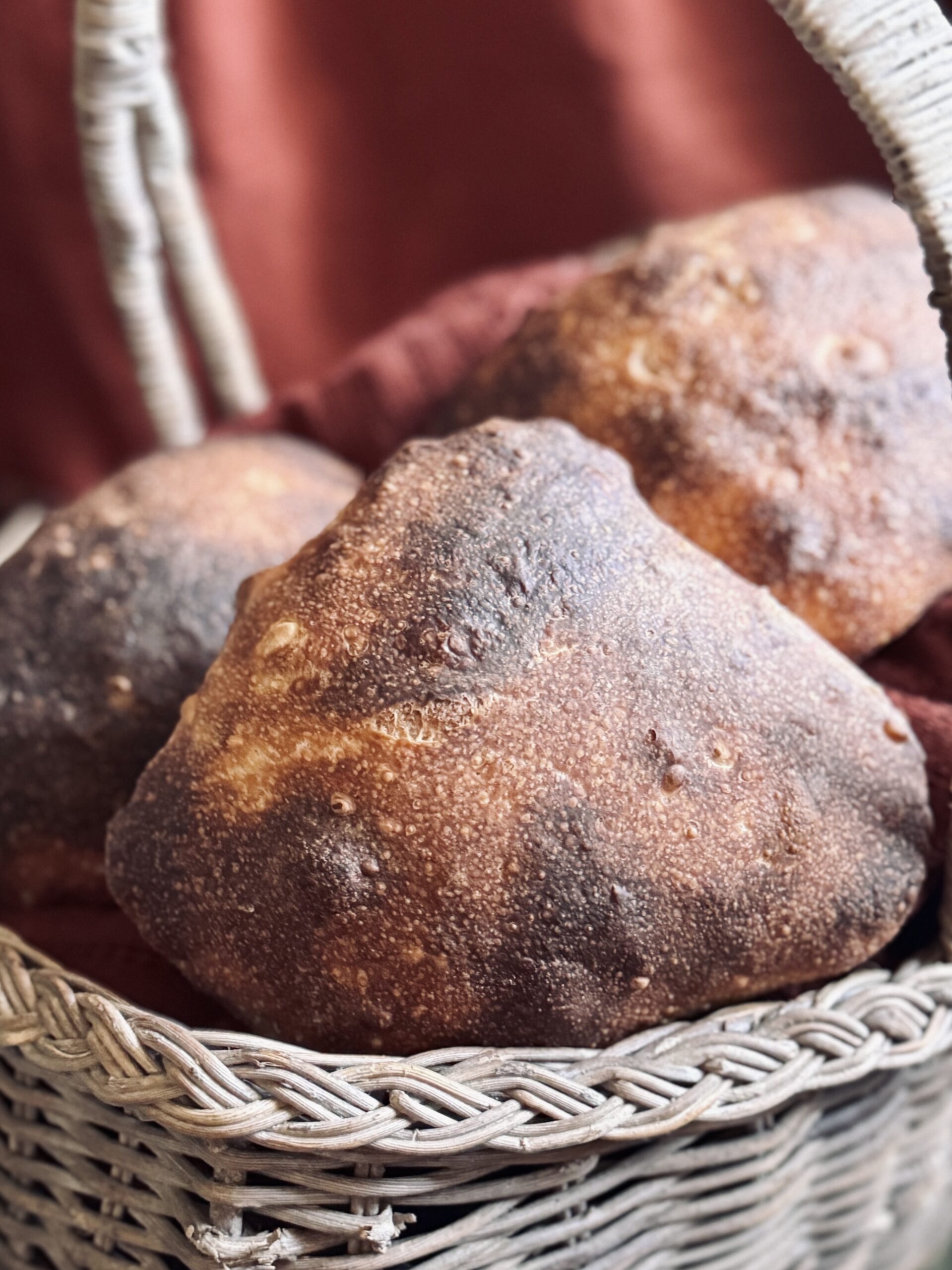 pan de cristal, glass bread, sourdough