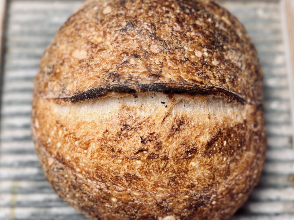 sourdough bread