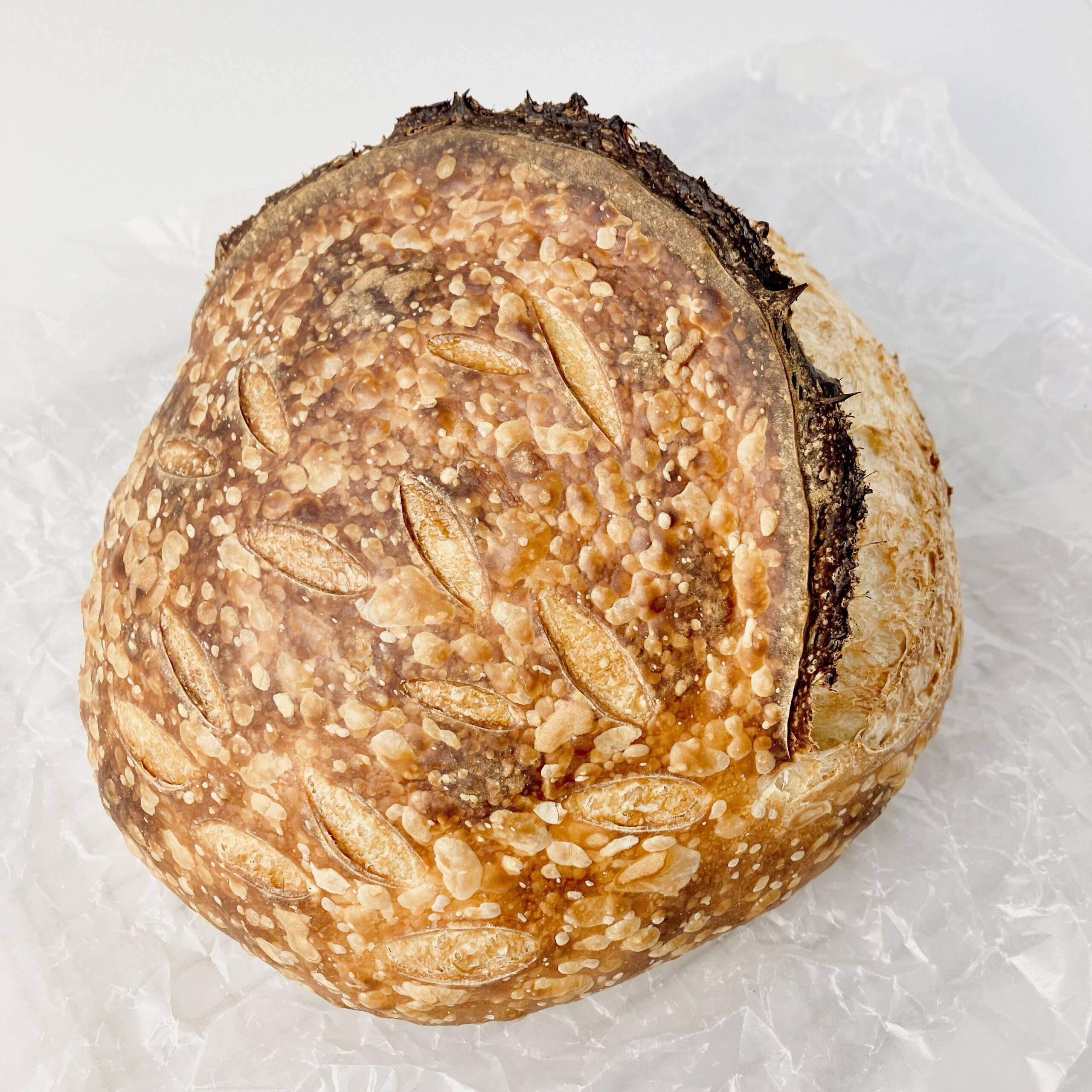 sourdough made with whey