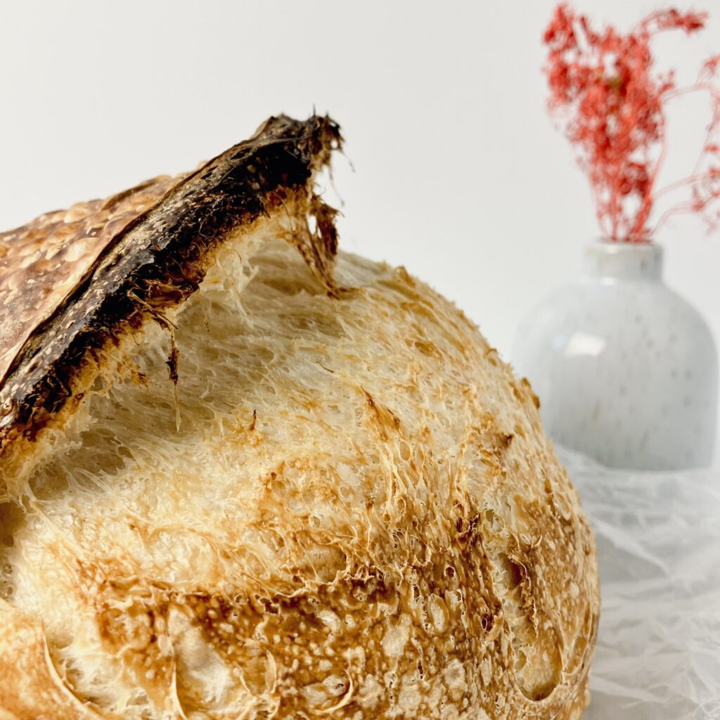 sourdough made with whey