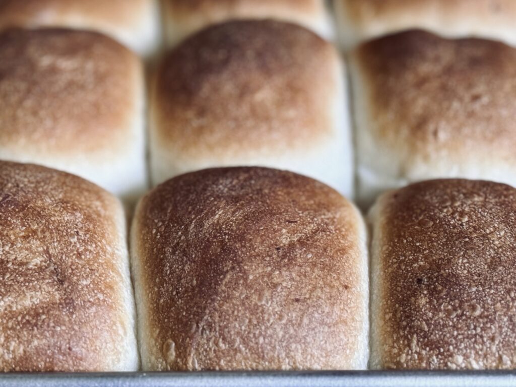 sourdough potato rolls