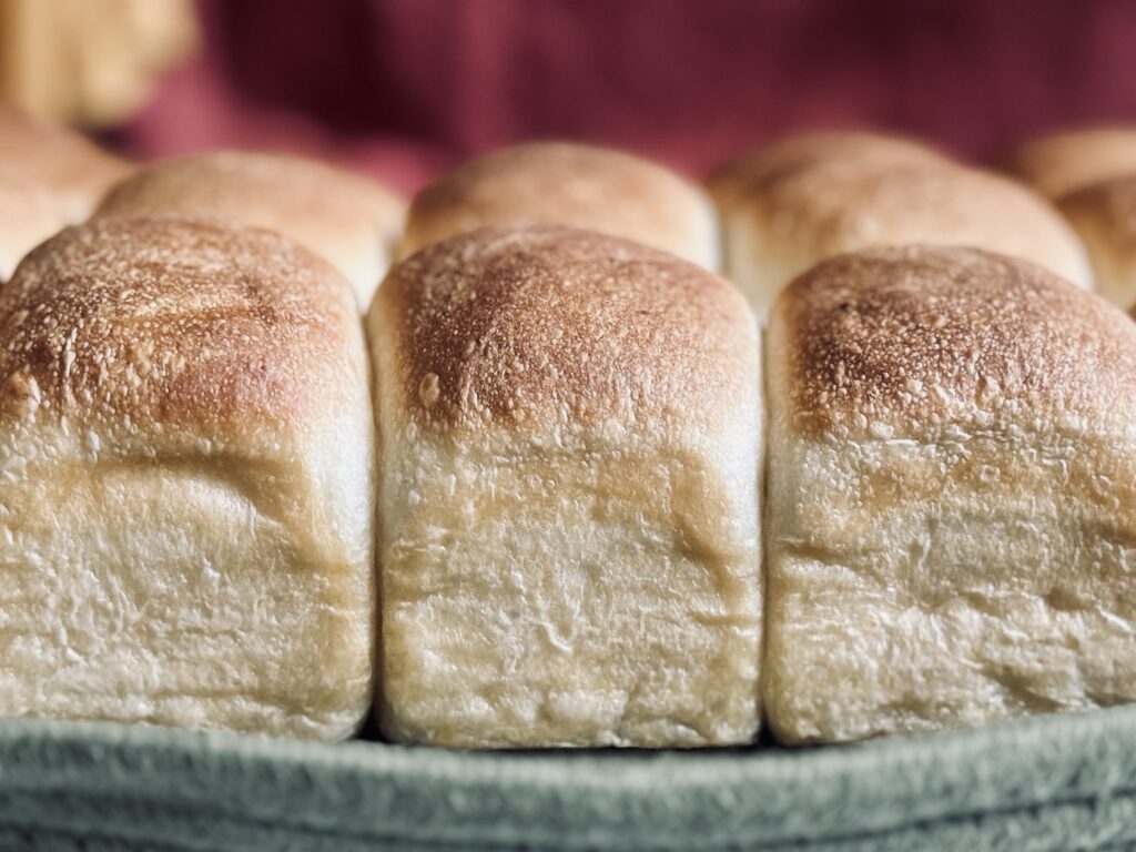 sourdough potato rolls