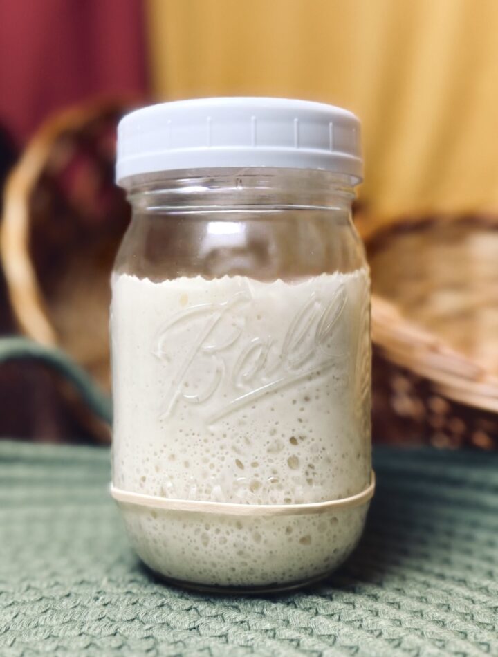 sourdough starter