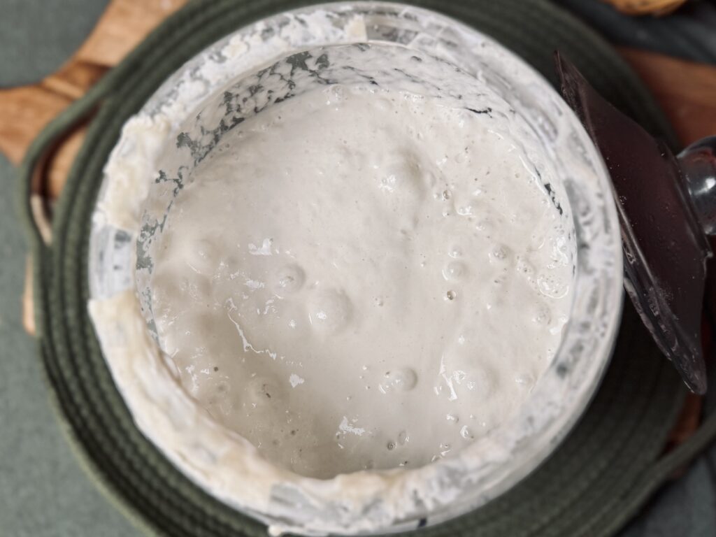 sourdough discard